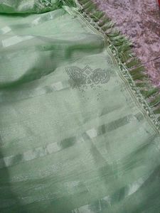 Elegant Pastel Green Embellished Saree