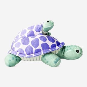 Cute Turtle Plush Toy