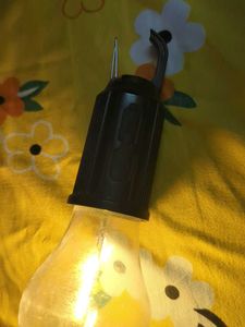 Incandescent Light Bulb