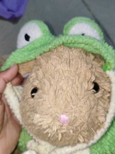 Build a Bear Rabbit with clothes