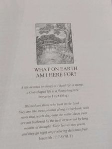 The Purpose Driven Life by Rick Warren