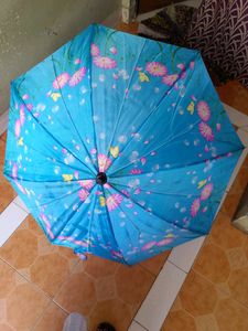 2 Color Umbrella