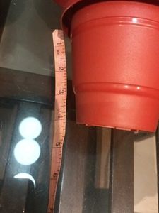 Flower Pots (Set of 5)