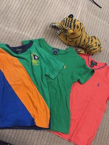 Polo Ralph Lauren T-Shirts Bundle