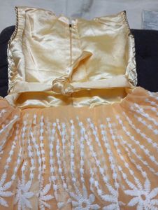 Chikkankari Frock