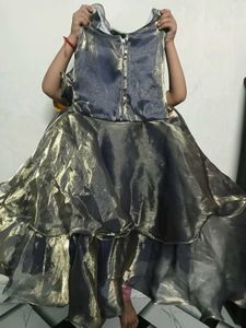 Sparkling Layered ethnic gown