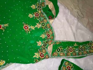 Green Embellished Saree with blouse