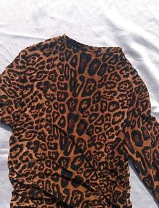 Sheer Cheetah Print Dress