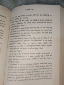 The Annihilator - Dark Verse Book Five