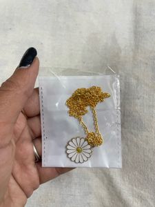 Comboo Gift Set
