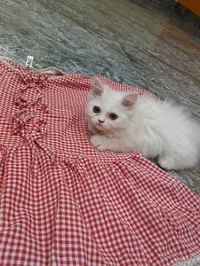 Cute Red Gingham Dress Material