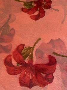 Beautiful Vintage Bollywood Floral Print Saree