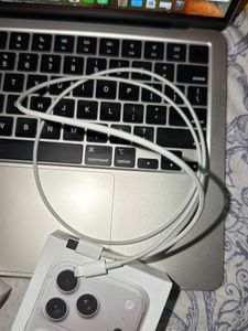 Apple USB-C to Lightning Cable