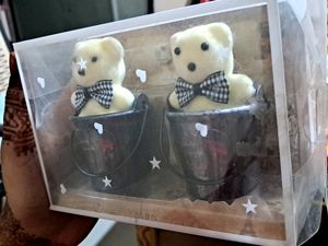 Decorative And Gifted Teddy Bear