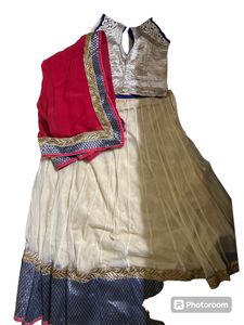 Beige Lehenga Choli