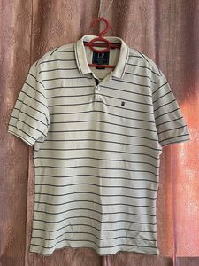 Striped Polo Shirt