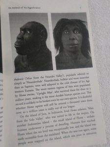 Sapiens A Brief of History o H