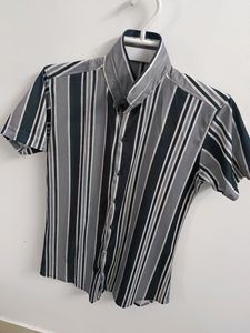 Men's Shirt