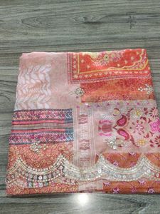 Pure Organza Work Duptta