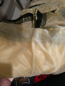 Cream Shimmer Saree with Golden n black Border