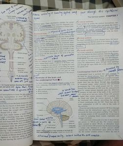 Anatomy And Physiology By Ross &amp; Wilson