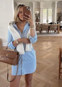 Zara Stripe Dress