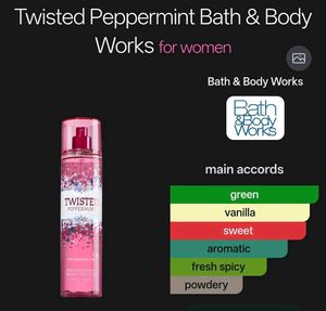 Bath &amp; Body Works Twisted Peppermint Mist