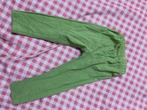 Light Green Comfortable Leggings