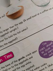 Fun With Science Experiments Kids Booklet