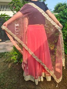 Beautiful Salmon Pink Net Skirt