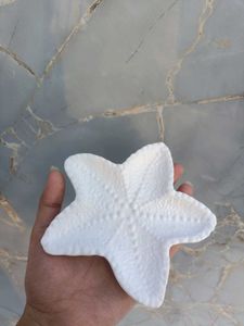 Textured White Starfish