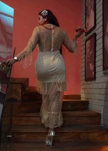 Soft Net Sequin Party Dress