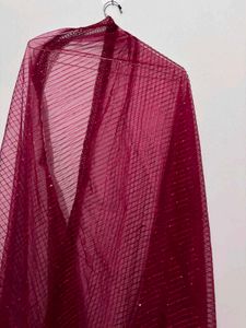 Elegant 4 Net Dupatta with Sparkle