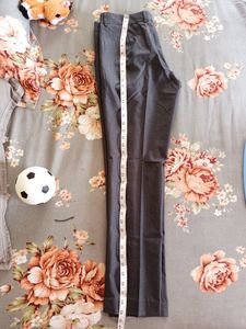Dark Gray Ankle Length Formal Pants