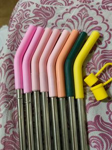 House Of Quirk Stainless Steel Straw With Cap