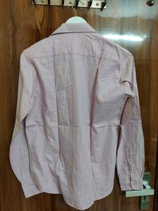 Success Shirts Collection