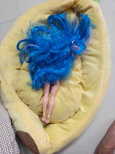 Unique Doll with Blue &amp; Pink Hair