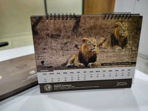 Desk Calendar - Majestic Lions