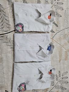 School Uniform White  Shirt (Unisex)Combo of 3