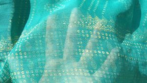 Green Paisley Print Saree