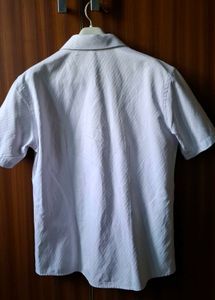 Classic White Striped Short Sleeve Shirt