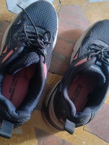 Campus Sports Shoes