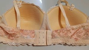Clovia 36 B Push-up Bra