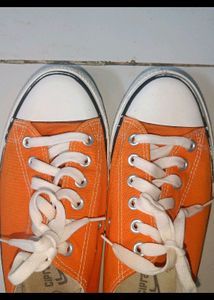 Male Shoes...no Major Flaw