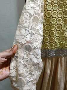 Elegant women dress knee length