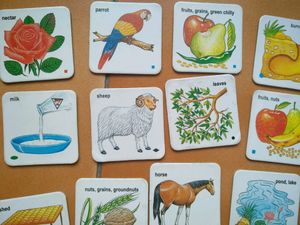 Vintage Educational Flashcards Set 30 cards