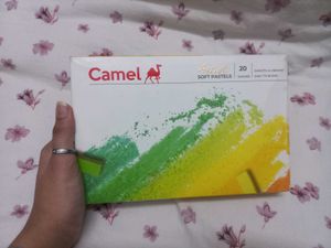Camel Artist Soft Pastels - 20 Vibrant Shades
