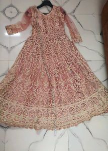 Elegant Expensive Ethnic Gown