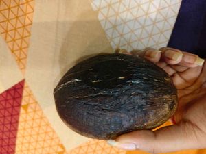 Bohemian Zen Coconut Shell Candle
