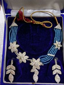 Stunning Blue Beaded Necklace & Earring Set